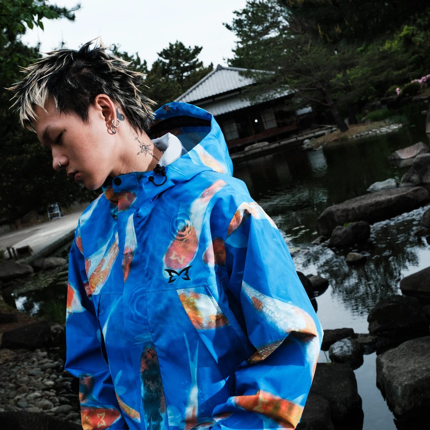 imageye___-_imgi_12_homepaa